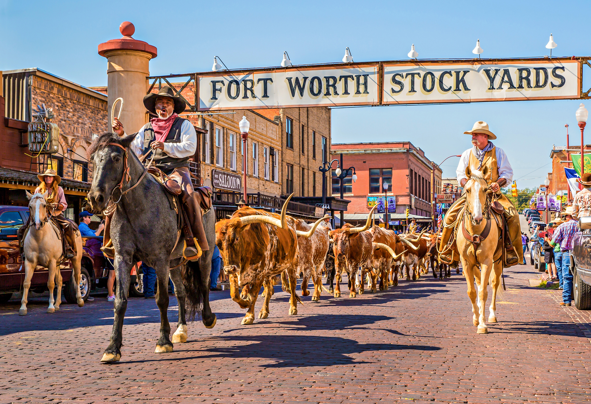 Longhorn cattle drive passing under the Fort Worth Stockyards sign